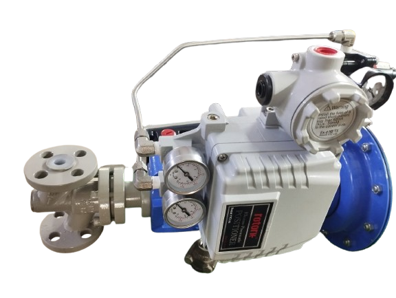Valnexis Valve